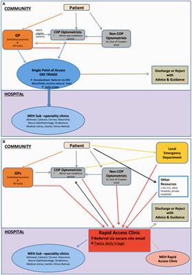 Implementing integrated care in ophthalmology: a community case study